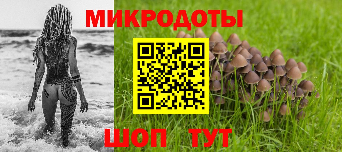 Псилоцибиновые грибы Psilocybine cubensis Томск