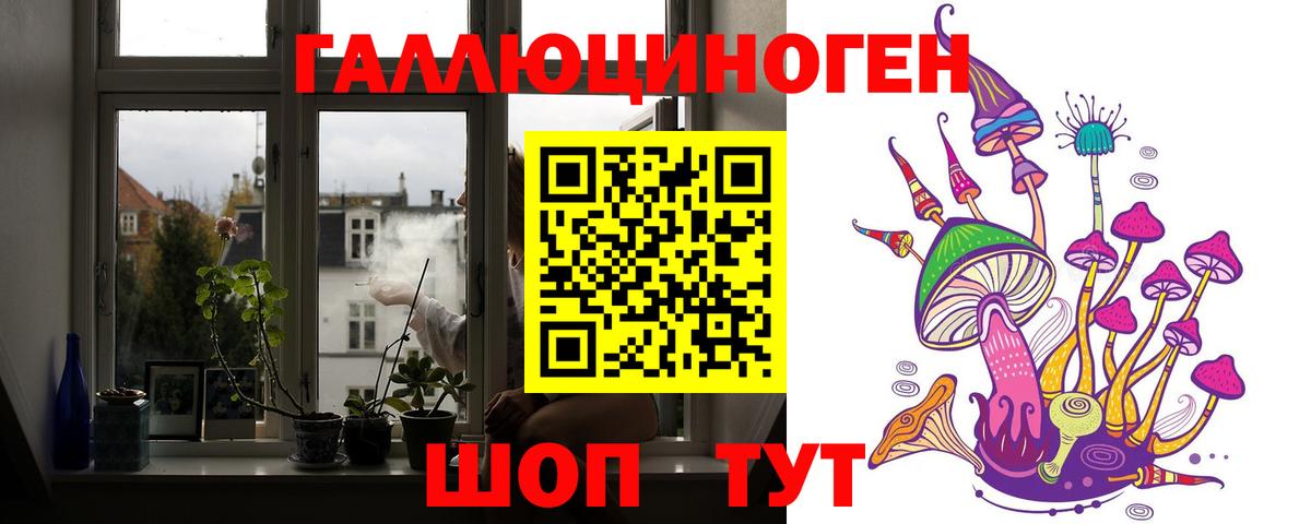 Галлюциногенные грибы Psilocybe Томск