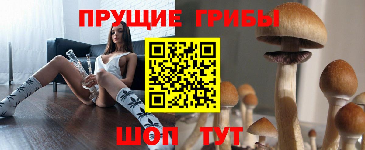 что такое наркотик  Томск  Галлюциногенные грибы Magic Shrooms 